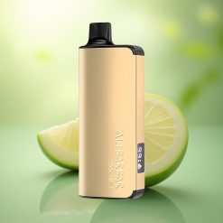 Alibarbar Ingot 9000 Puffs Menthe Fraîche 2350mAh