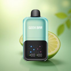 GEEK BAR 2GO 20ml 50000 Puffs Glace Menthe Fraîche avec Écran Interactif et 5% Nicotine